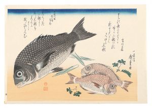 <strong>Hiroshige I</strong><br>A Series of Fish Subjects / Bl......
