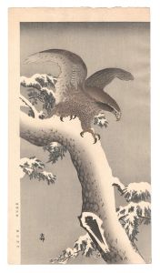 White-tailed Eagle on Snowy Pine Branch / Ohara Koson(Shoson)