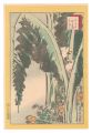 <strong>Sugakudo</strong><br>Forty-eight Hawks Drawn from L......