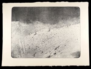 Title unknown / Misu Yuji