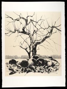 Title unknown / Misu Yuji