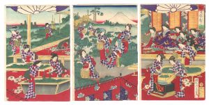 Tea Making in Early Summer / Chikanobu