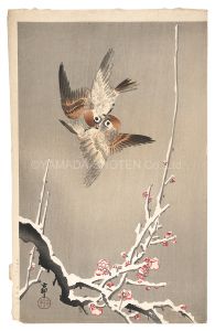 Sparrows and Snow-covered Plum Branch (tentative title) / Ohara Koson (Shoson)