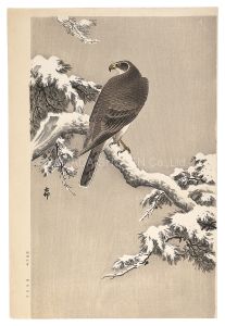 Eagle in Snow (tentative title) / Ohara Koson (Shoson)