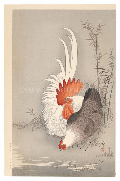 小原古邨（祥邨）｢つがいの鶏（仮題）｣／