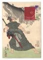 <strong>Shoso</strong><br>Stories of the Heroes of Kagos......