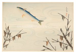 Great Japanese Fish Picture Collection / Flathead mullet / Ono Bakufu