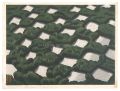 <strong>Maeda Masao</strong><br>Step Stones