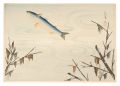 <strong>Ono Bakufu</strong><br>Fish of Japan / Mullet