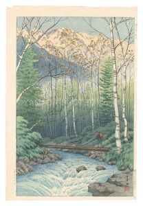 Dawn at Takegawa / Ito Takashi