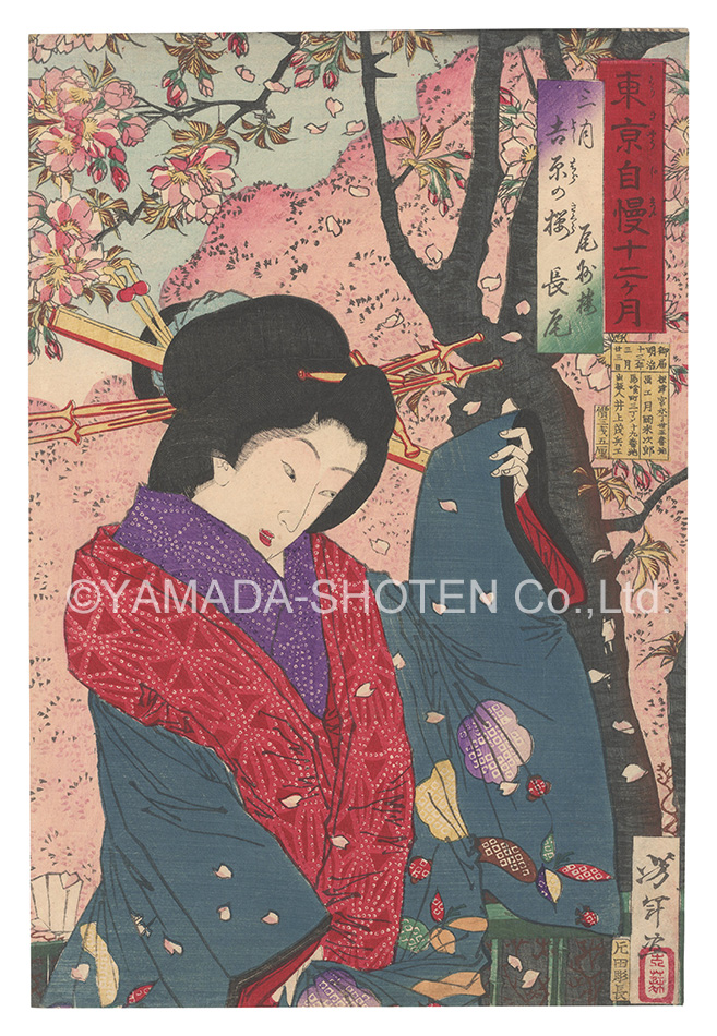 芳年｢東京自慢十二ヶ月　三月 吉原の桜｣／