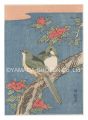 <strong>Koryusai</strong><br>Hibiscus and Birds【Reproductio......
