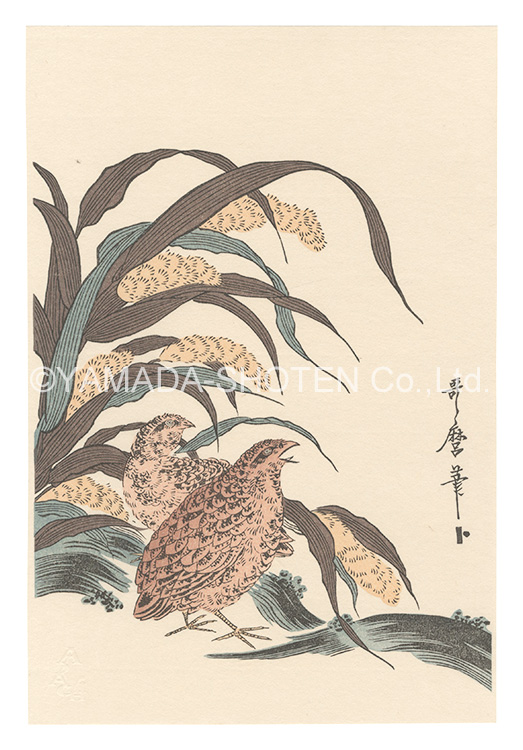 歌麿｢粟と鶉【復刻版】｣／