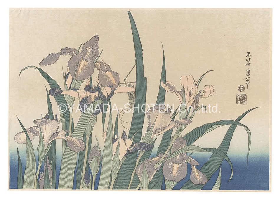 Hokusai “Irises and Grasshopper【Reproduction】”／