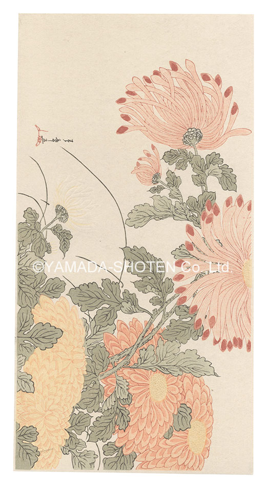 春章｢乱菊【復刻版】｣／