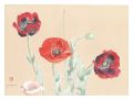 <strong>Oguri Yoshiji</strong><br>Picture Album of Various Flowe......