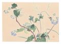 <strong>Oguri Yoshiji</strong><br>Picture Album of Various Flowe......