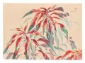 <strong>Oguri Yoshiji</strong><br>Picture Album of Various Flowe......