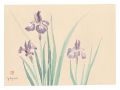 <strong>Oguri Yoshiji</strong><br>Picture Album of Various Flowe......