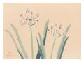 <strong>Oguri Yoshiji</strong><br>Picture Album of Various Flowe......