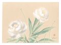 <strong>Oguri Yoshiji</strong><br>Picture Album of Various Flowe......