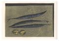 <strong>Takagi Shiro</strong><br>Pacific Saury and Lemons