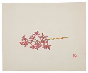 富本憲吉｢陶画集より　蘭花｣