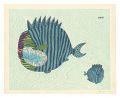 <strong>Kuri Yoji</strong><br>Unknown Fish