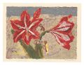 <strong>Nakatani Tai</strong><br>Amaryllis