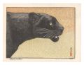 <strong>Yoshida Toshi</strong><br>Black Panther