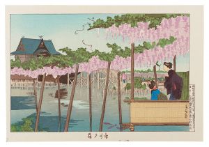 Famous Sights of Tokyo / Wisteria at Kameido 【Reproduction】 / Kiyochika