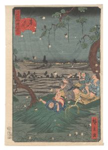 Hirokage/Comical Views of Famous Places in Edo / No. 20: Listening to Crickets at Dokan Hill[江戸名所道外尽　二十 道灌山虫聞]