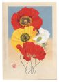 <strong>Iwata Sohei</strong><br>Poppy