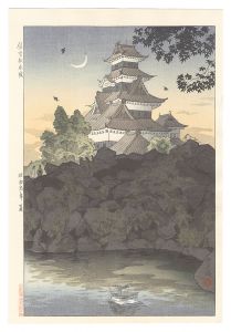 Matsumoto Castle in Shinano / Kasamatsu Shiro