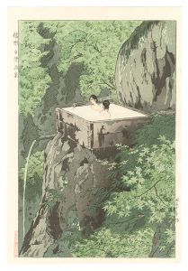 Shirahone Hotspring in Shinano / Kasamatsu Shiro