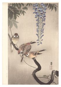 Sparrow and Wisteria (tentative title) / Ohara Koson(Shoson)