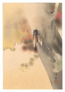 Cicada (tentative title) / Morita Kako