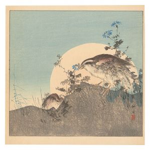 月岡耕漁｢月に鶉（仮題）｣