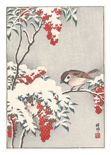 小原古邨（祥邨）｢雪中南天に雀（仮題）｣／
