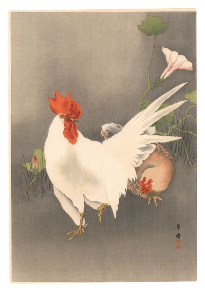 Morita Kako “Rooster and Hen (tentative title)”／