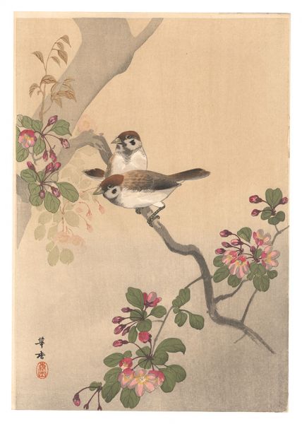 Morita Kako “Sparrows (tentative title)”／