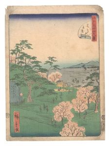 広重二代｢江戸名所四十八景　十三 飛鳥山花見｣