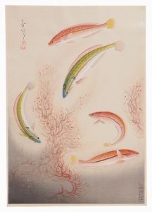 大野麥風｢大日本魚類画集　第一輯ノ四　ベラ｣