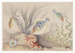 大野麥風｢大日本魚類画集　第一輯ノ九　カワハギ｣