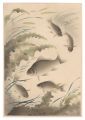 <strong>Ono Bakufu</strong><br>Fish of Japan / Crucian Carp