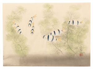 大野麥風｢自筆画　魚（仮題）｣