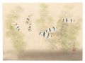 <strong>Ono Bakufu</strong><br>Fish (tentative title)