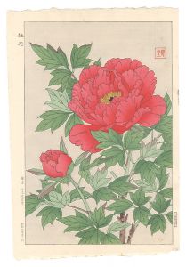 河原崎奨堂｢牡丹｣
