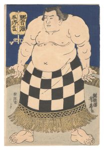 芳虎｢相撲絵　響灘五郎吉｣
