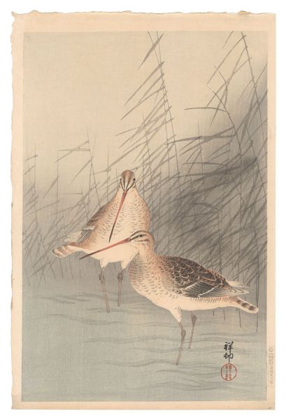 小原古邨（祥邨）「芦に鴫」